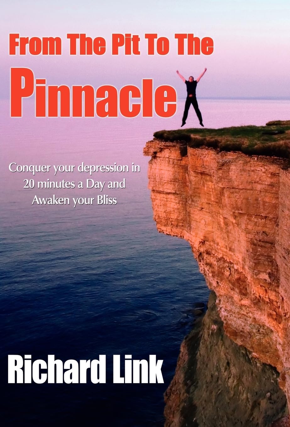 From The Pit To The Pinnacle,Used