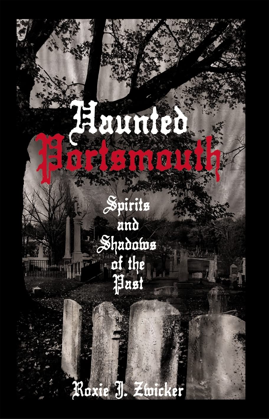 Haunted Portsmouth: Spirits And Shadows Of The Past (Haunted America),Used