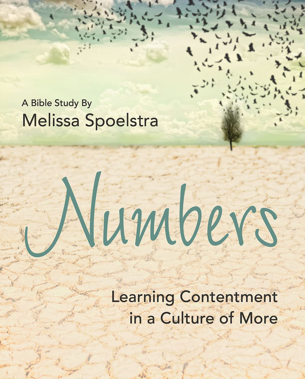 Numbers  Women's Bible Study Participant Workbook: Learning Contentment in a Culture of More,Used