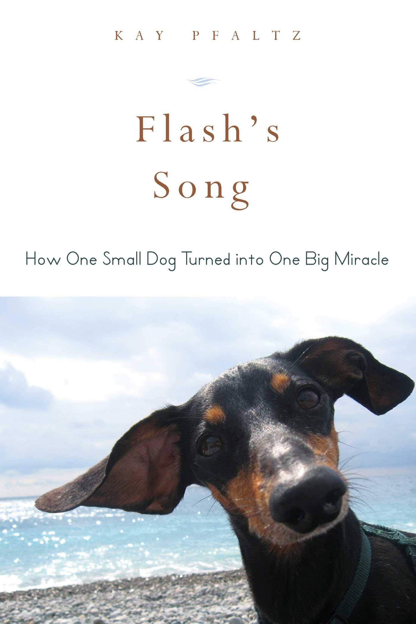 Flash's Song: How One Small Dog Turned into One Big Miracle,Used