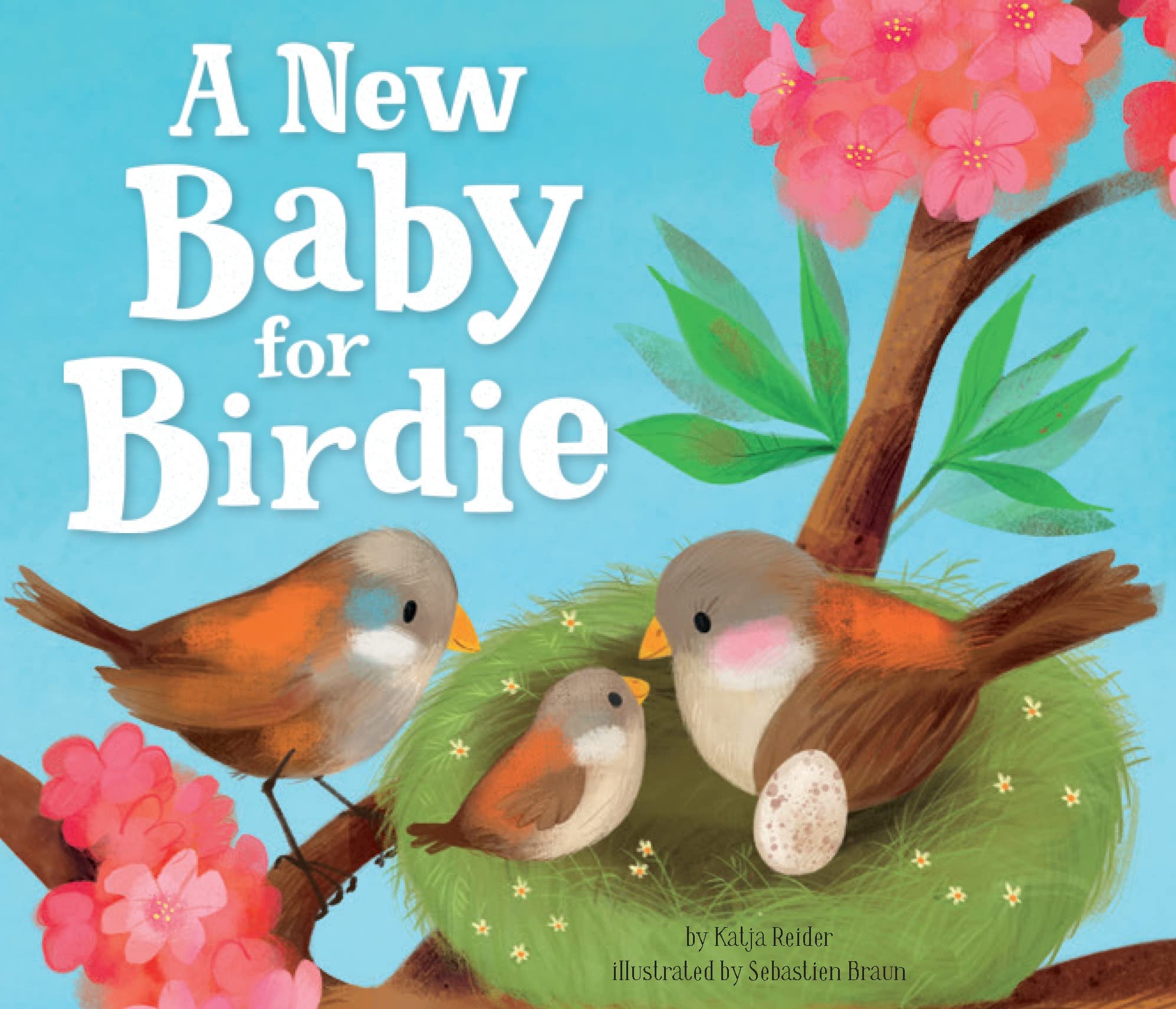 A New Baby For Birdie (Clever Family Stories)