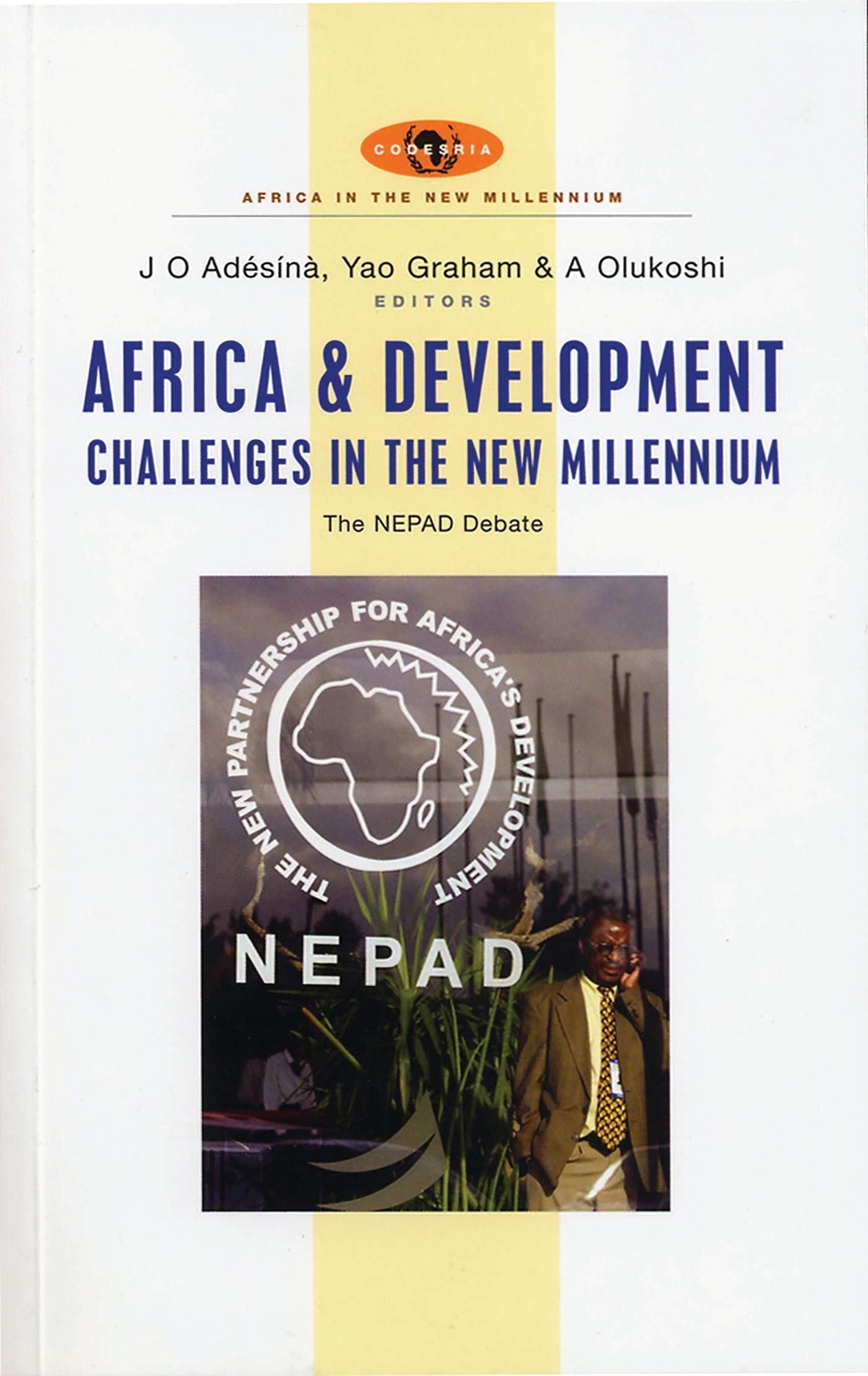 Africa and Development Challenges in the New Millennium: The NEPAD Debate (Africa in the New Millennium),Used