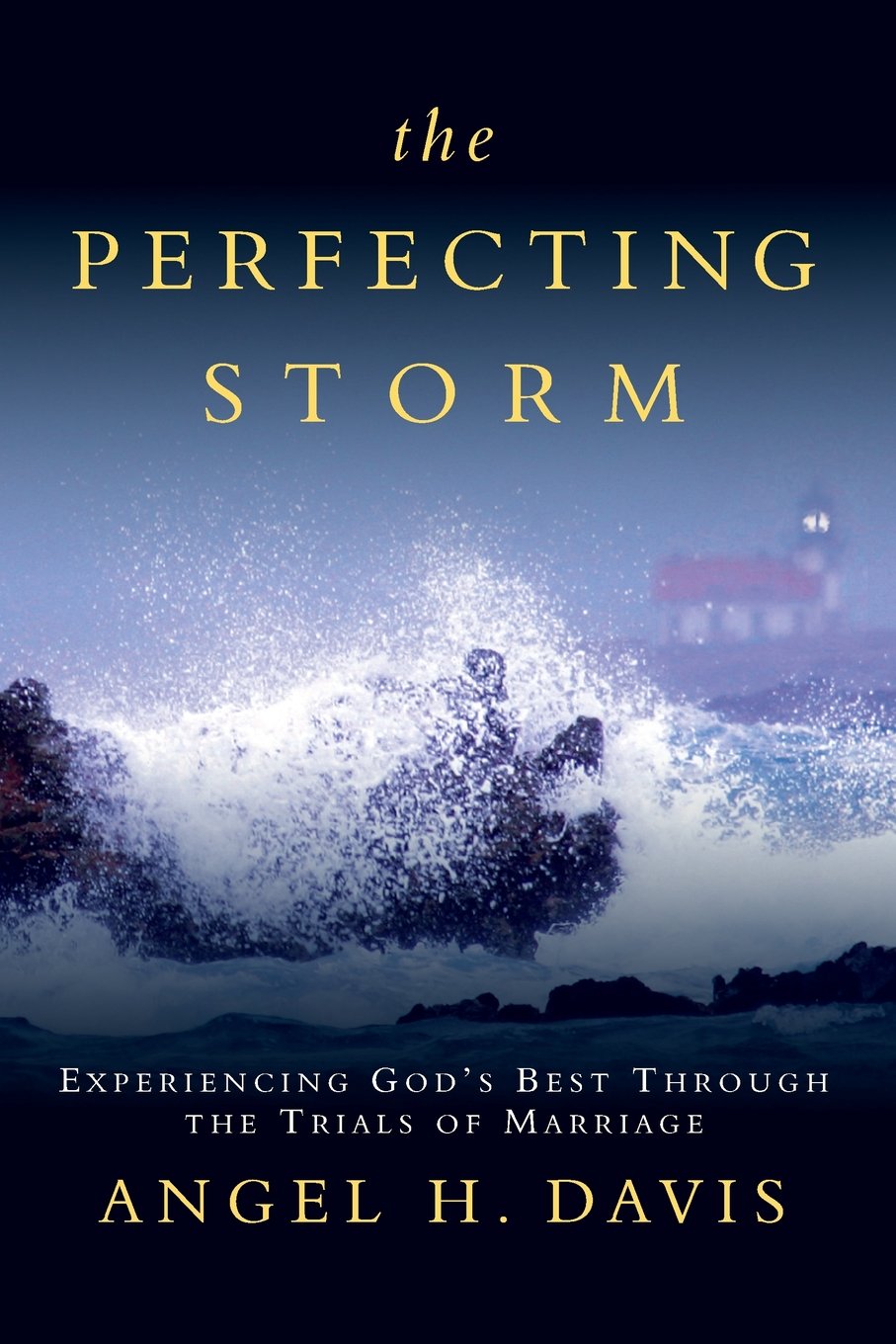 The Perfecting Storm: Experiencing God's Best Through the Trials of Marriage,Used