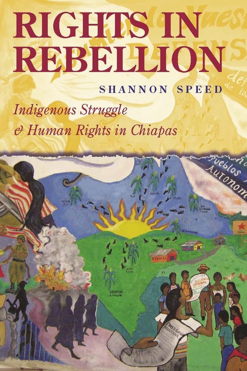Rights In Rebellion: Indigenous Struggle And Human Rights In Chiapas,New