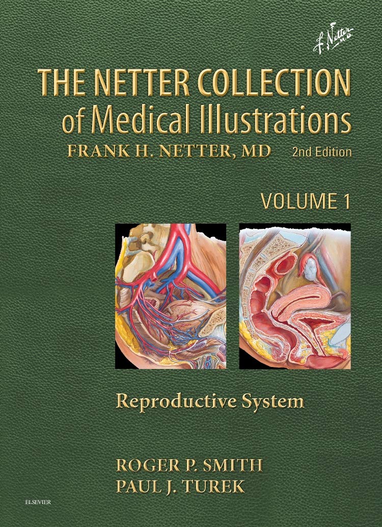 The Netter Collection of Medical Illustrations: Reproductive System,Used