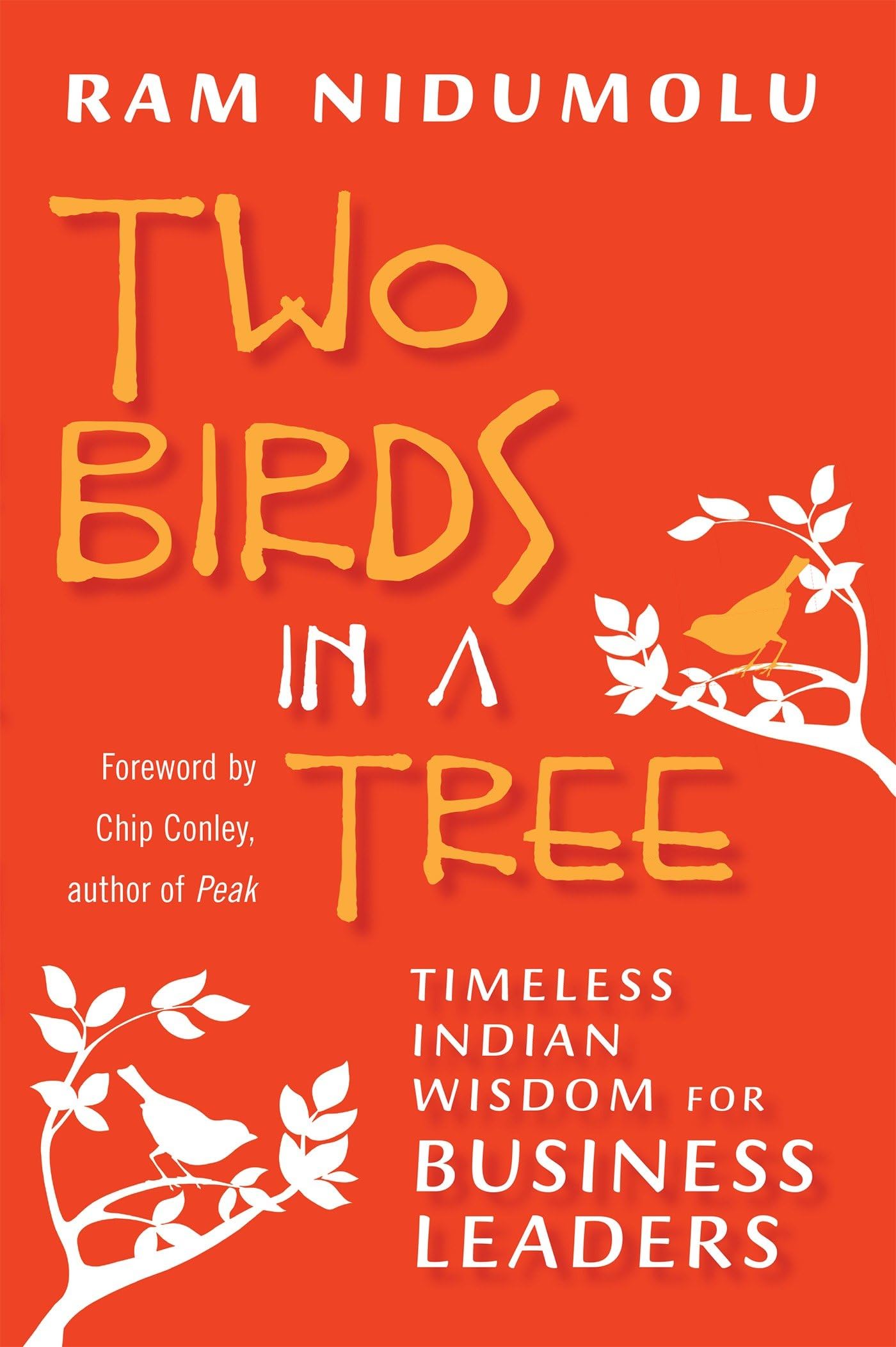 Two Birds in a Tree: Timeless Indian Wisdom for Business Leaders,Used