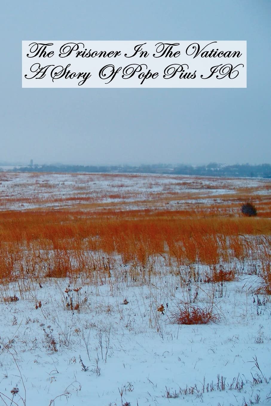 The Prisoner In The Vatican: A Story Of Pope Pius IX,New