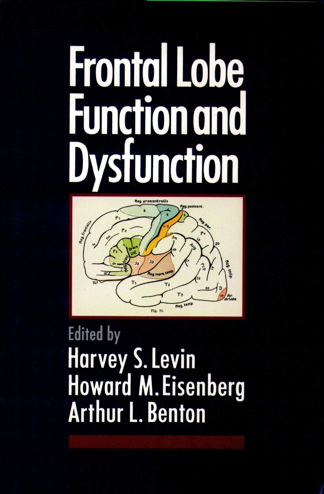 Frontal Lobe Function And Dysfunction