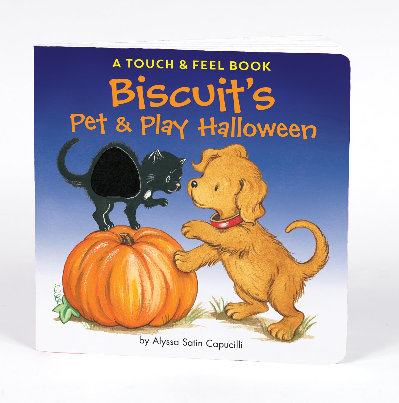 Biscuit's Pet & Play Halloween,Used