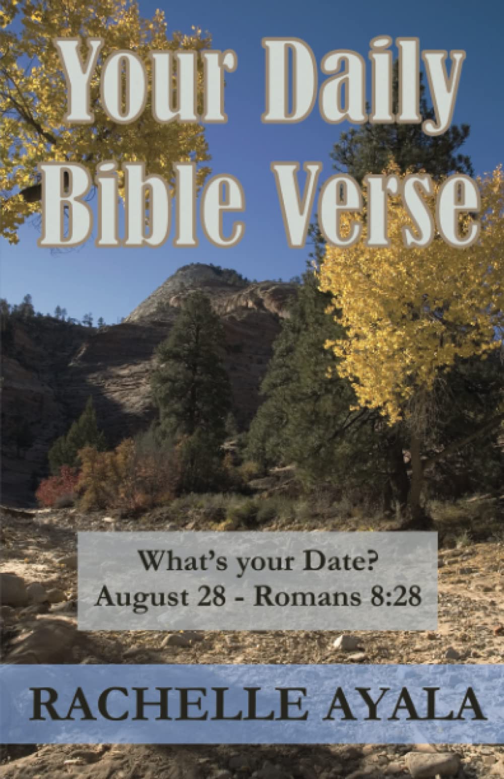 Your Daily Bible Verse (Large Print Edition): 366 Verses Correlated by Month and Day,Used