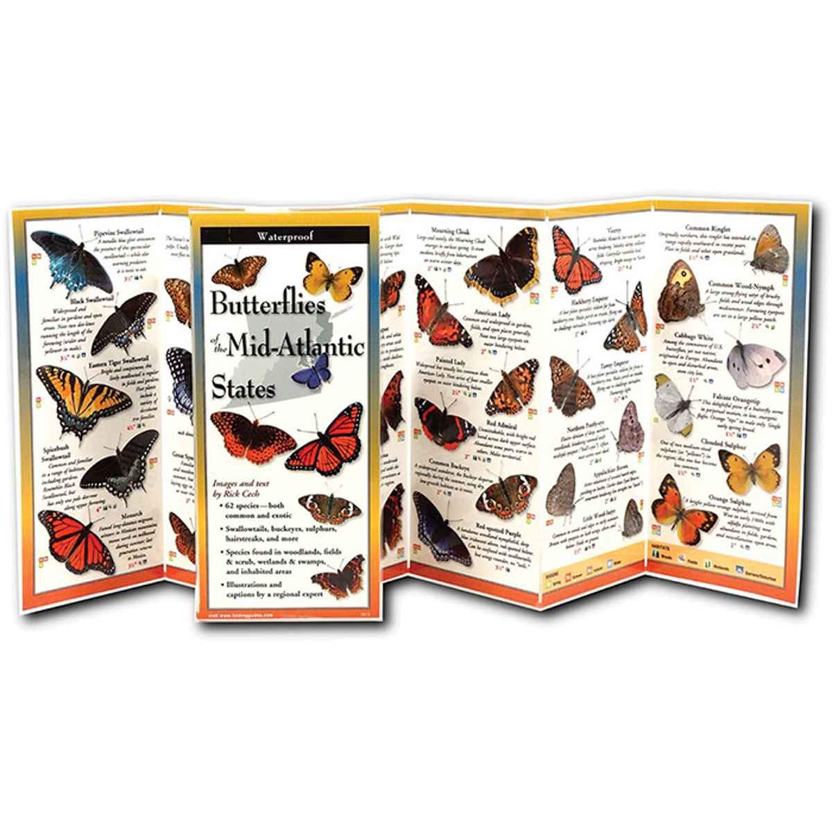 Butterflies of the MidAtlantic & South Central States: Folding Guide (Foldingguides),New