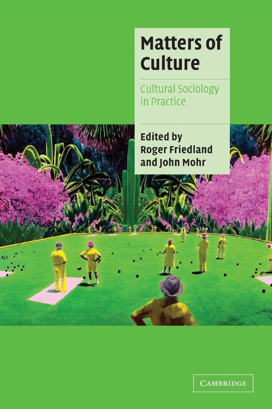 Matters of Culture: Cultural Sociology in Practice (Cambridge Cultural Social Studies),Used