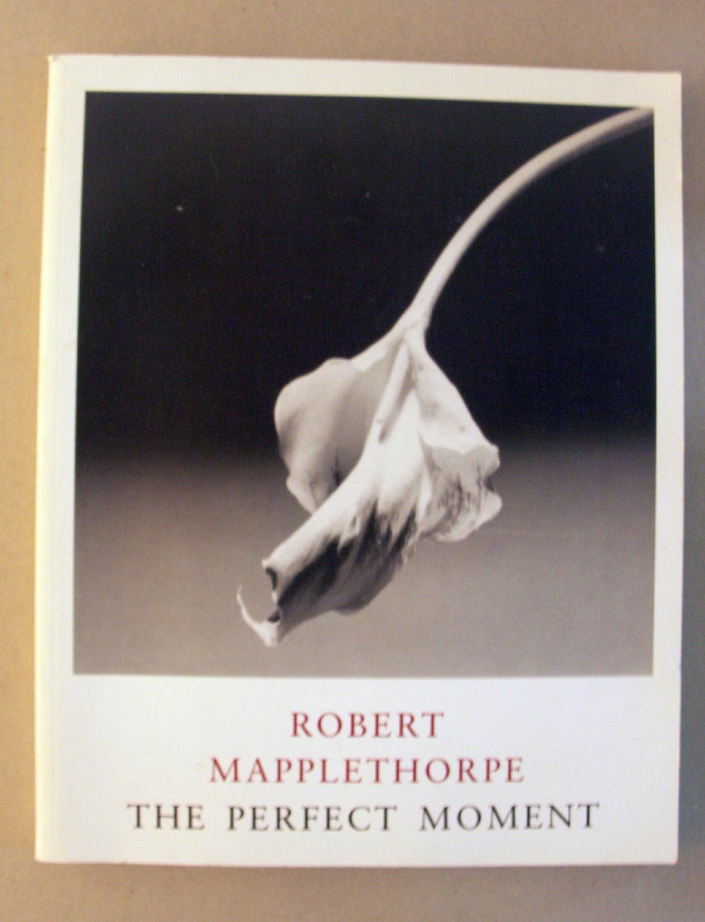 Robert Mapplethorpe: The Perfect Moment,New