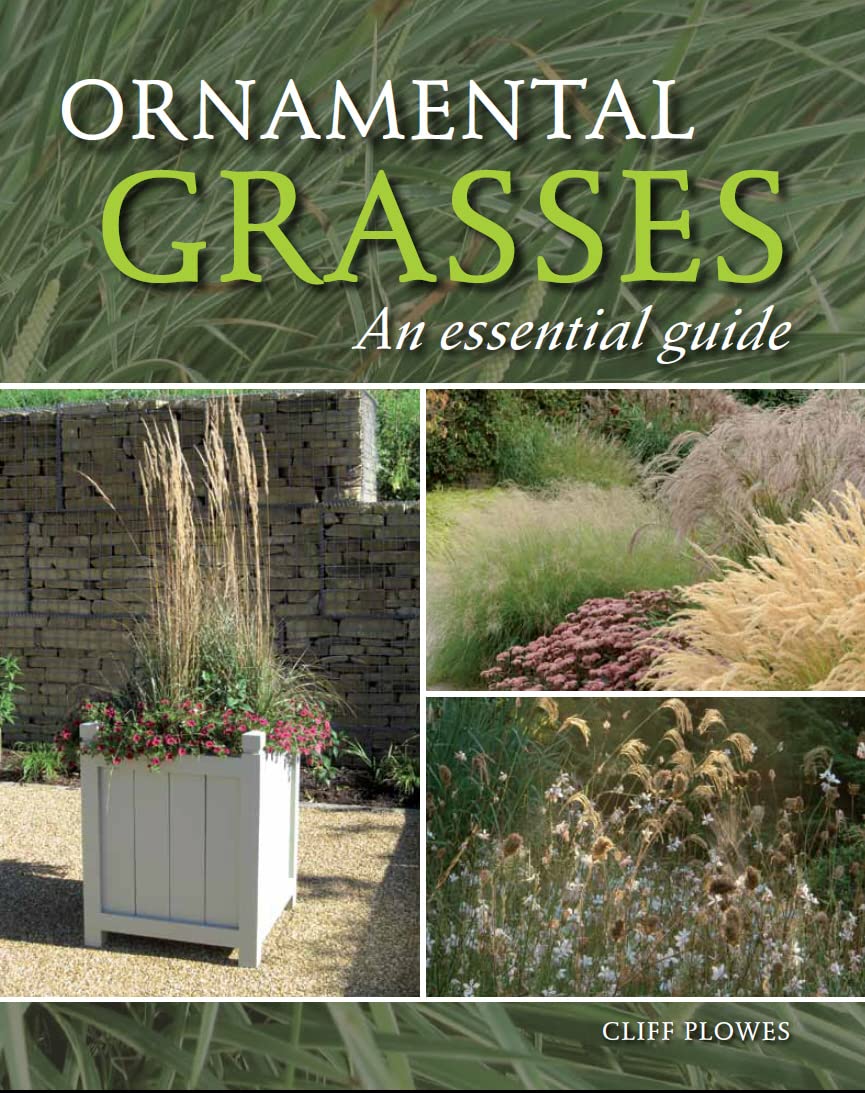 Ornamental Grasses: An Essential Guide,Used