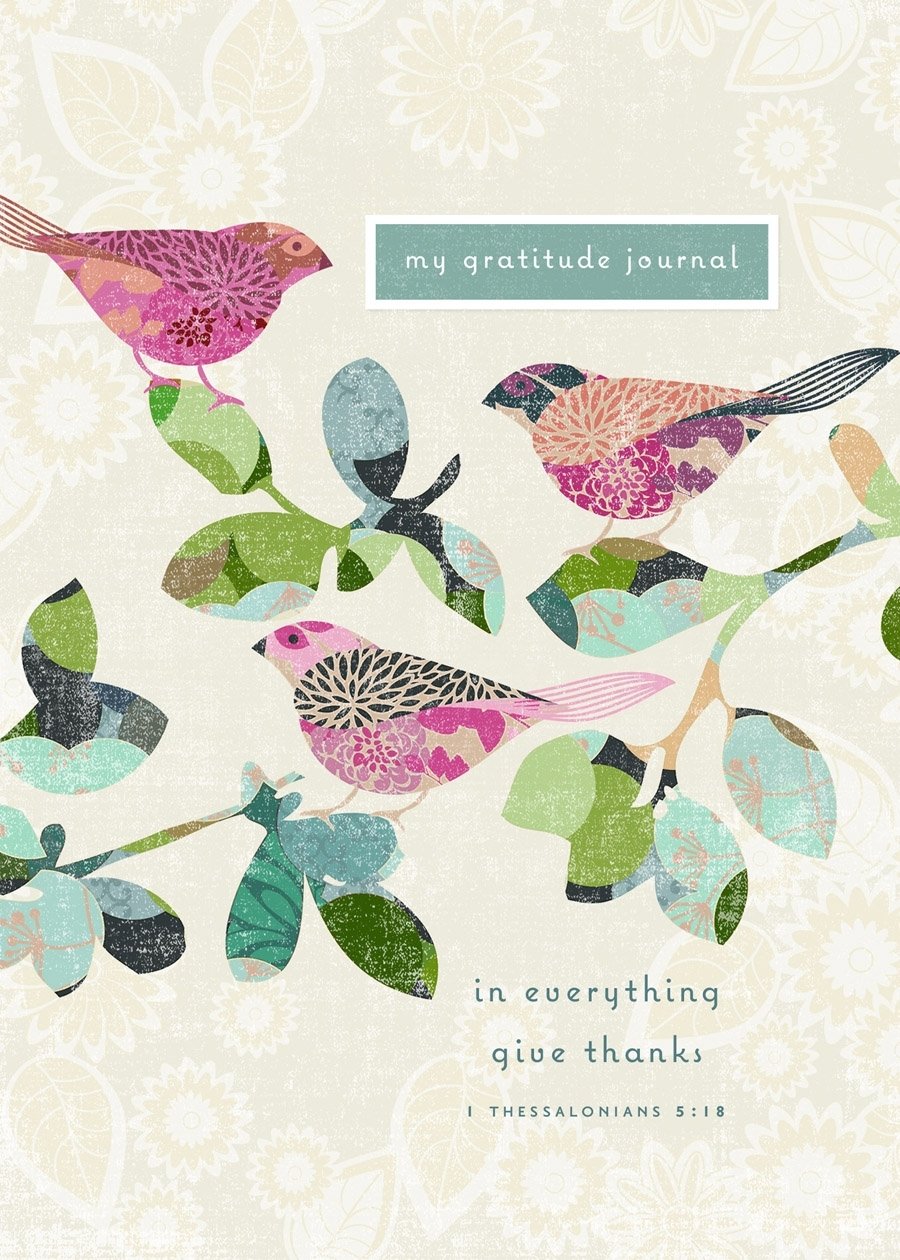 My Gratitude Journalvalue Journal (Five Year Memory Books)