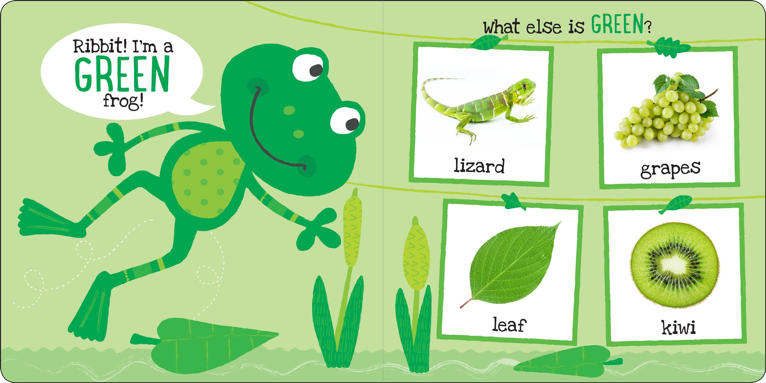 My First COLORS Padded Board Book,Used