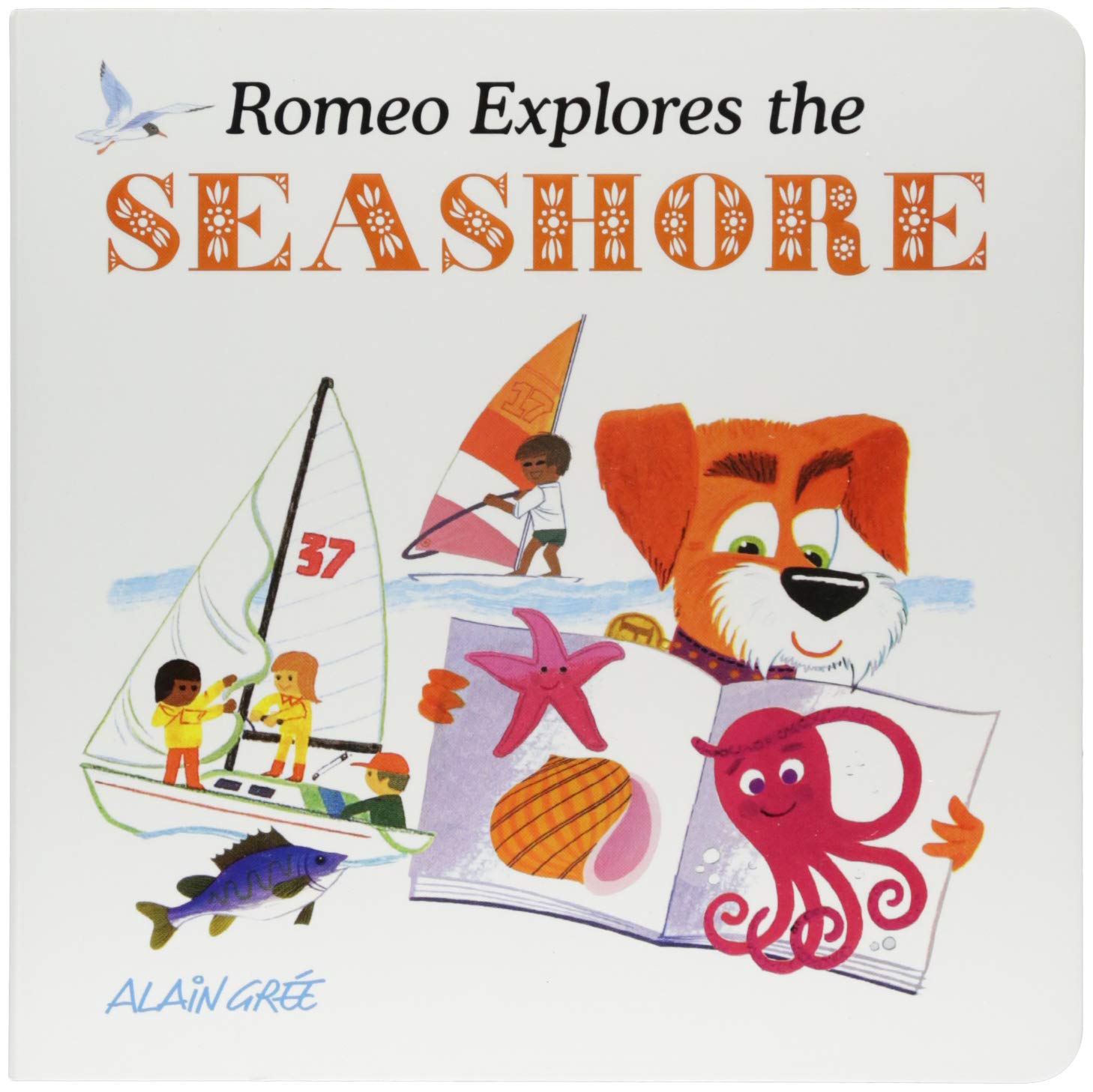 Romeo Explores the Seashore (Alain Gre Lets Explore),Used