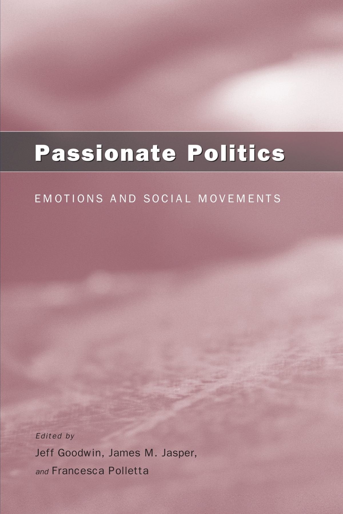 Passionate Politics: Emotions And Social Movements,New