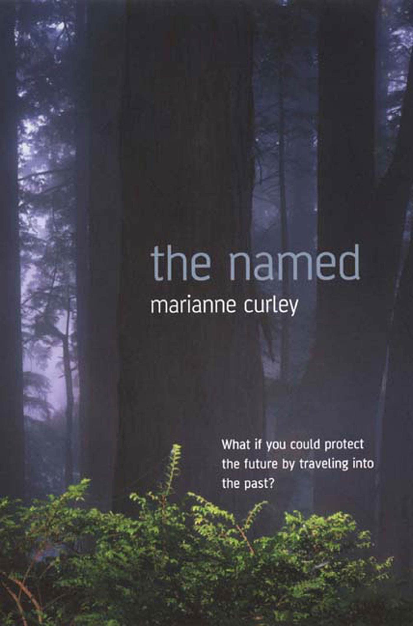 The Named (Guardians of Time),Used