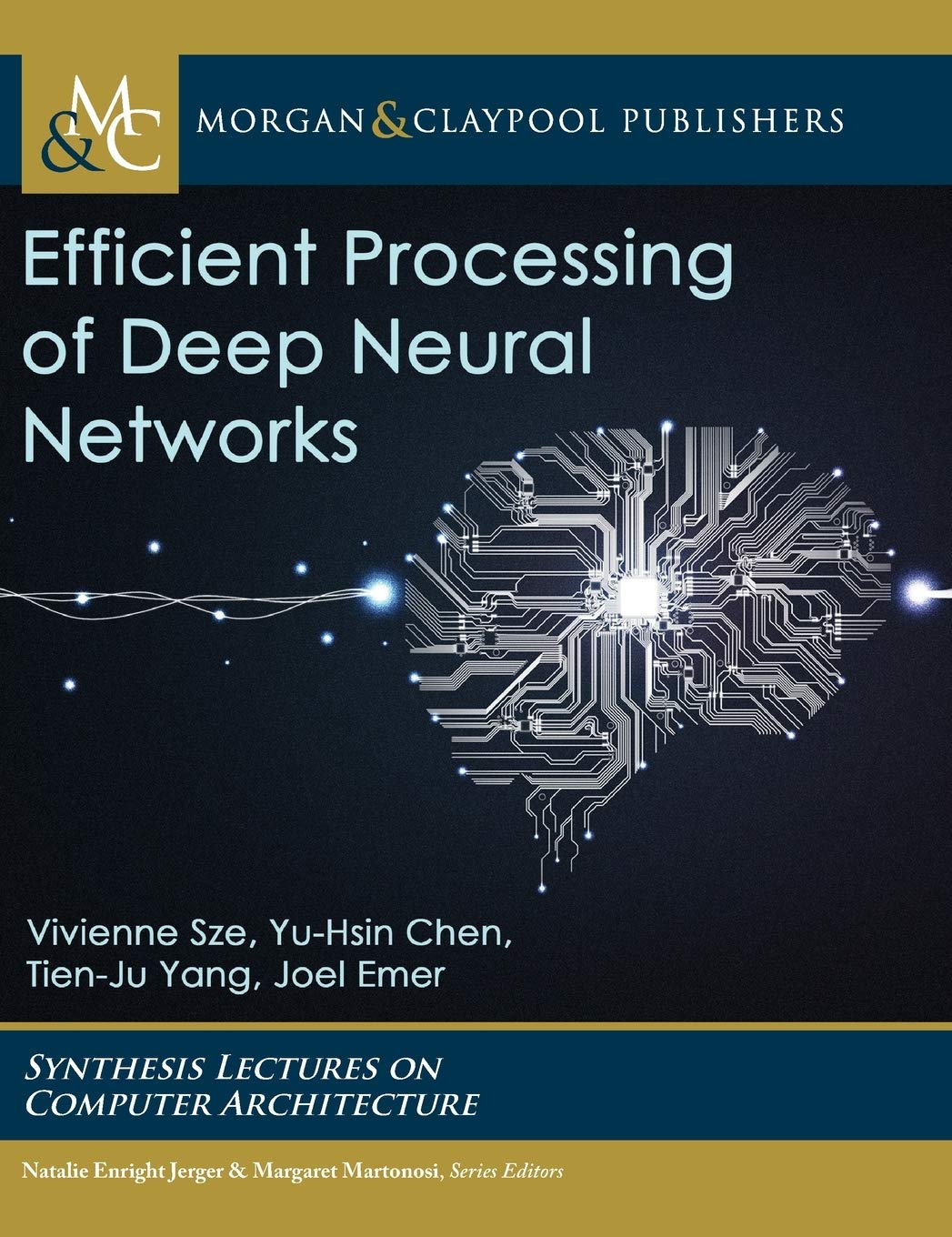 Efficient Processing of Deep Neural Networks,Used