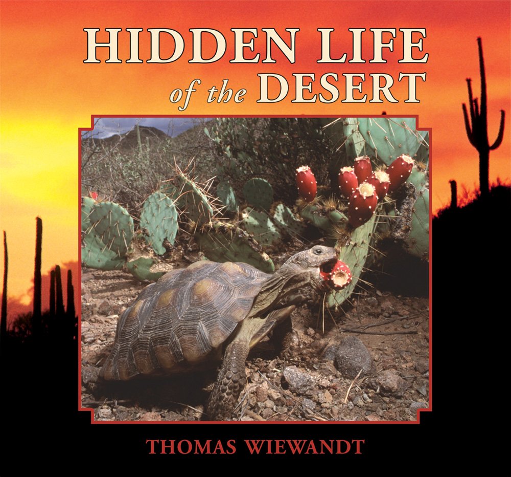 Hidden Life Of The Desert,New