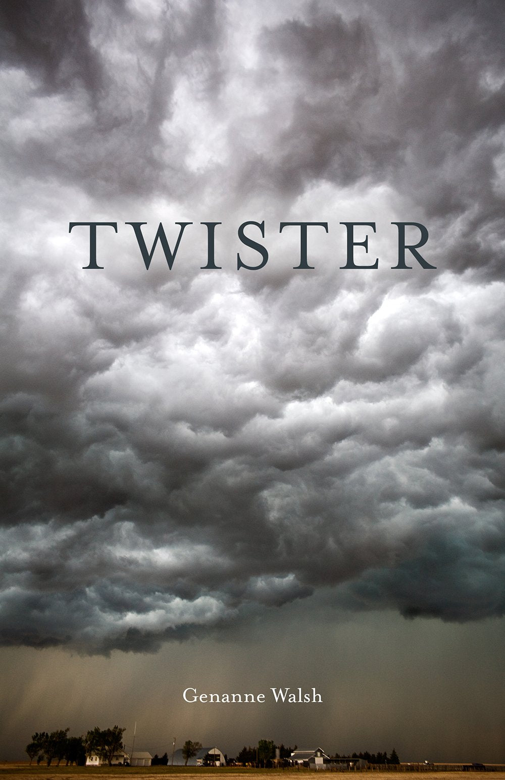 Twister,Used