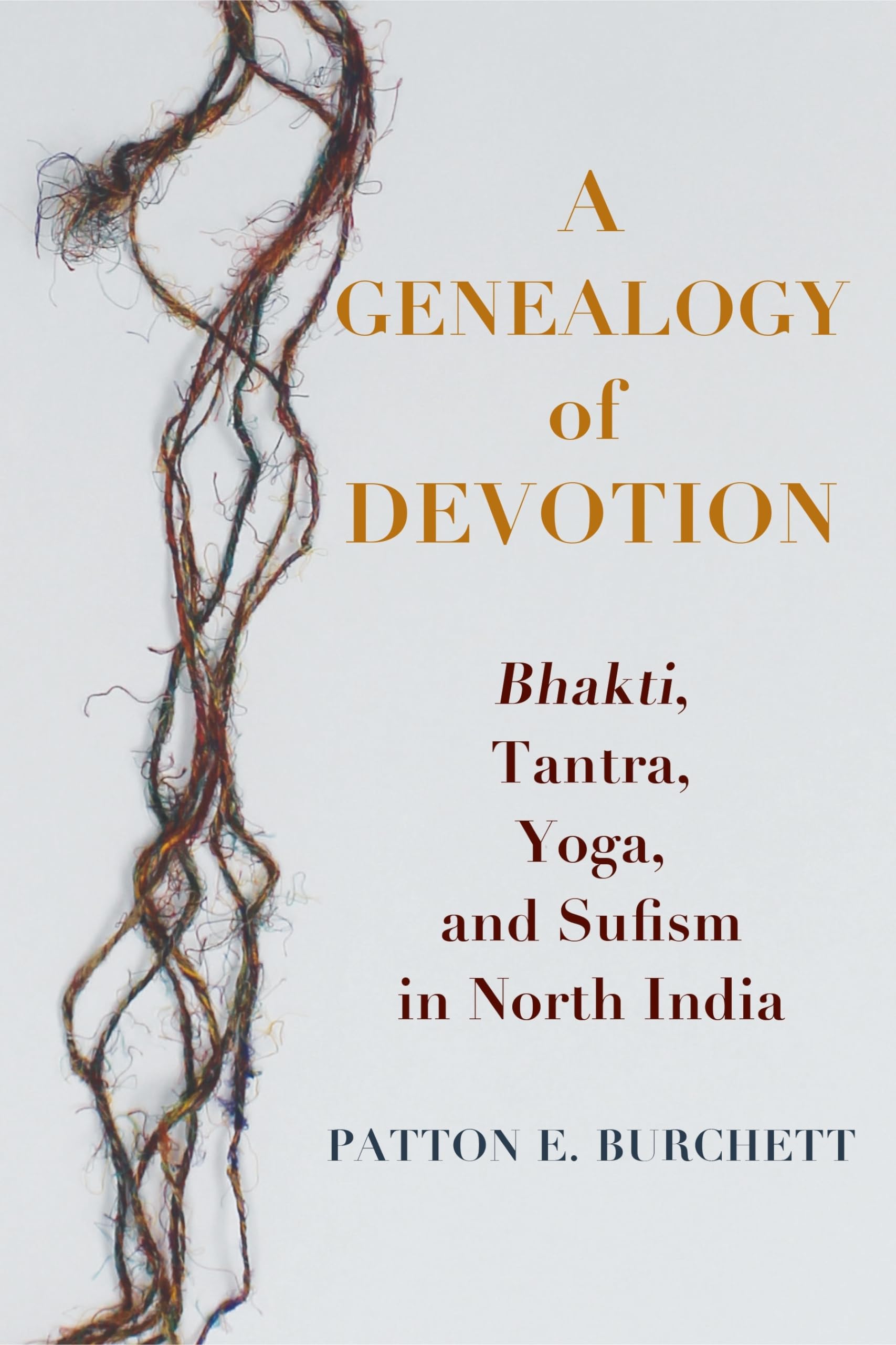 A Genealogy of Devotion: Bhakti, Tantra, Yoga, and Sufism in North India,Used