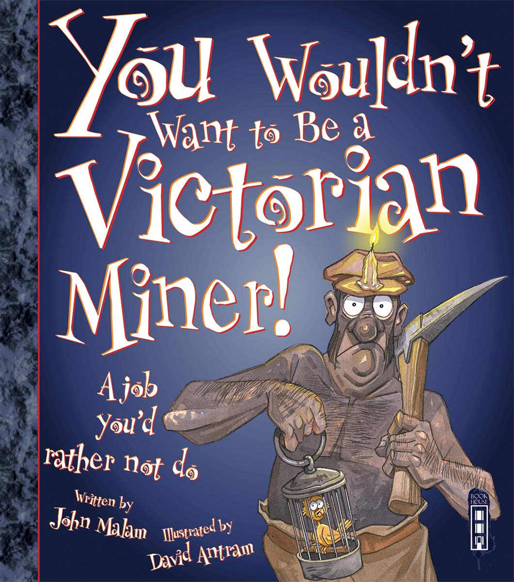 You Wouldn't Want to Be a Victorian Miner!,Used