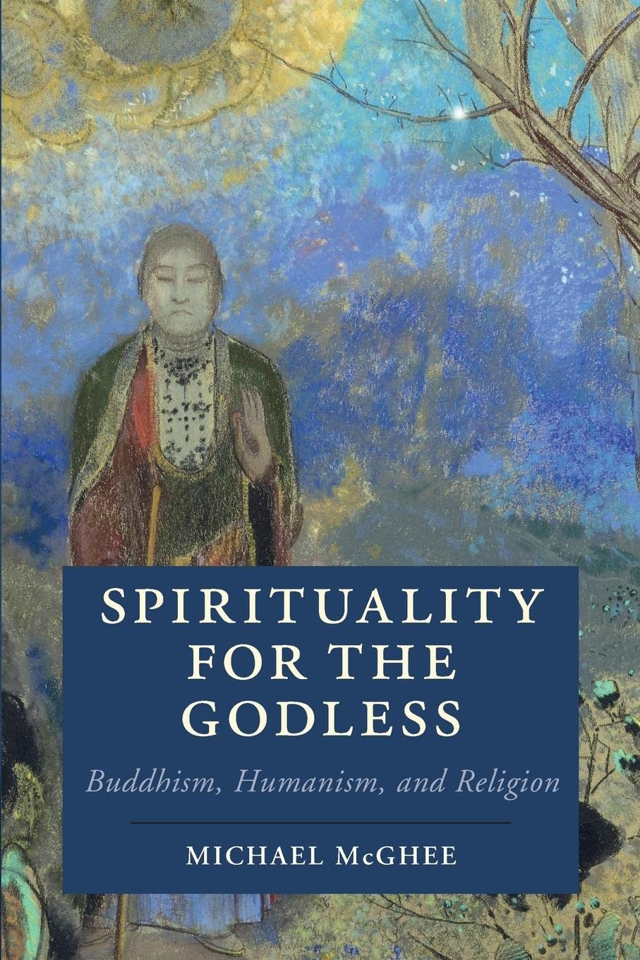 Spirituality for the Godless (Cambridge Studies in Religion, Philosophy, and Society),Used