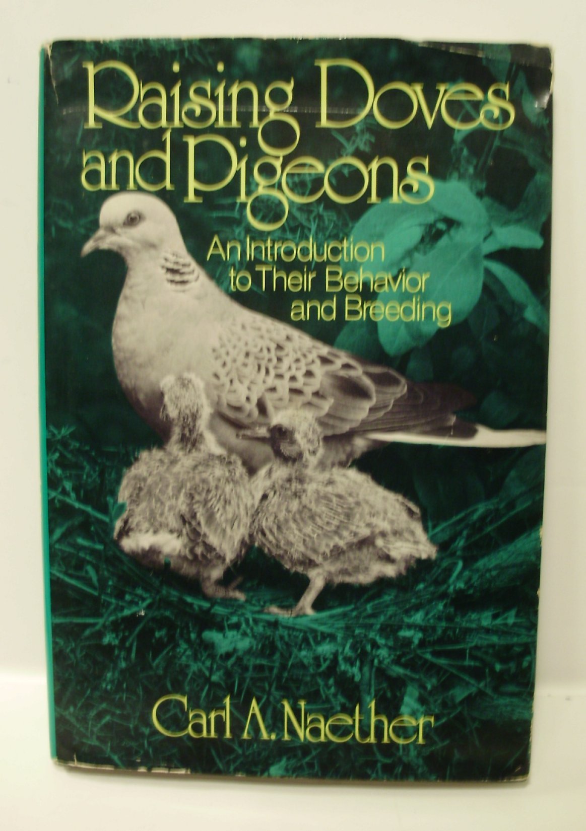 Raising doves and pigeons: An introduction to their behavior and breeding,Used