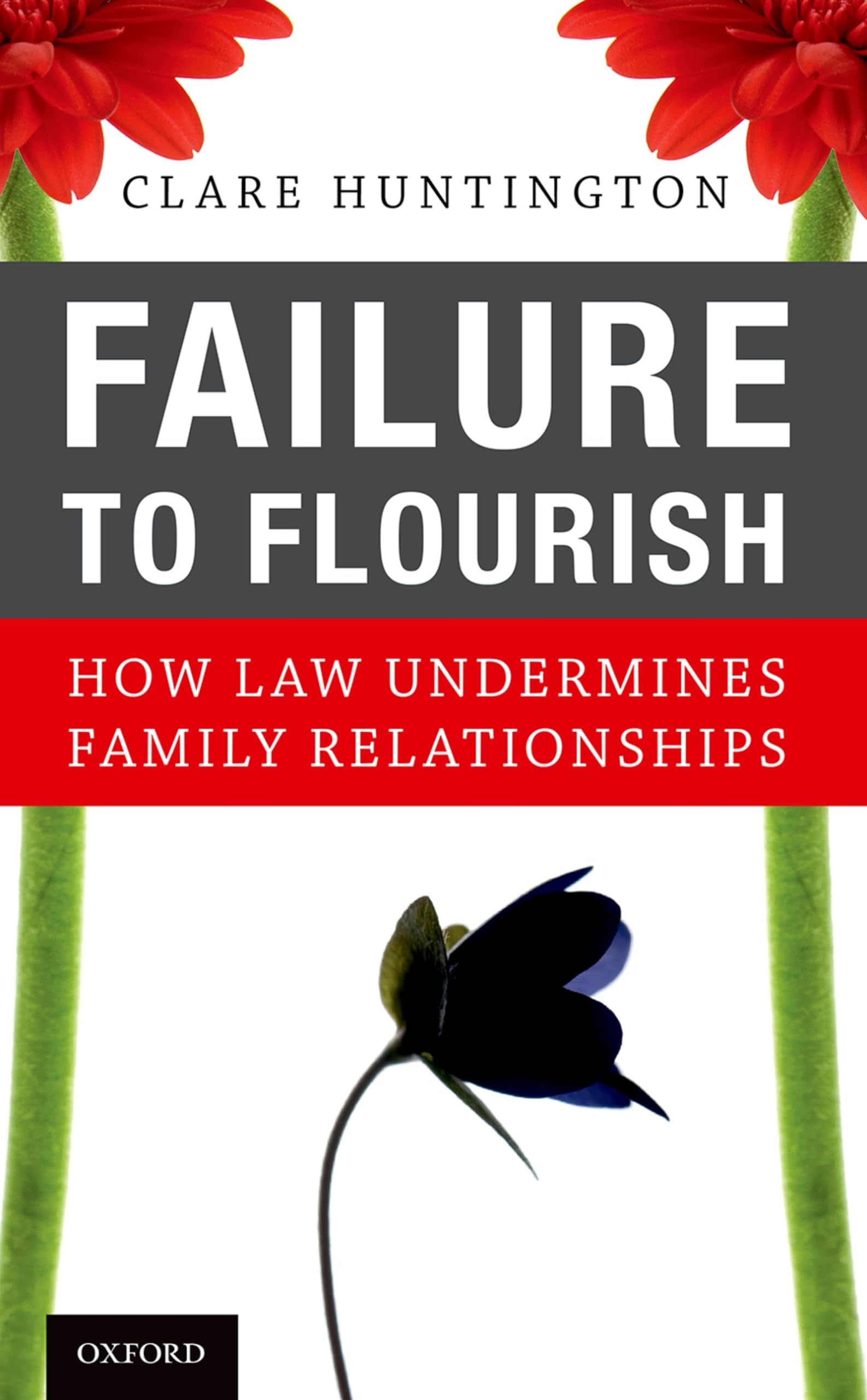 Failure to Flourish: How Law Undermines Family Relationships,Used