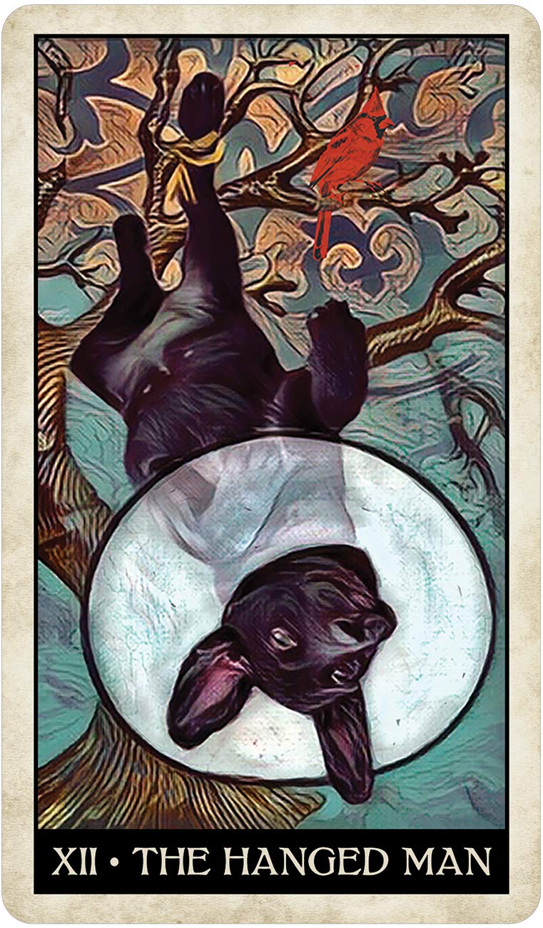 Wise Dog Tarot,New