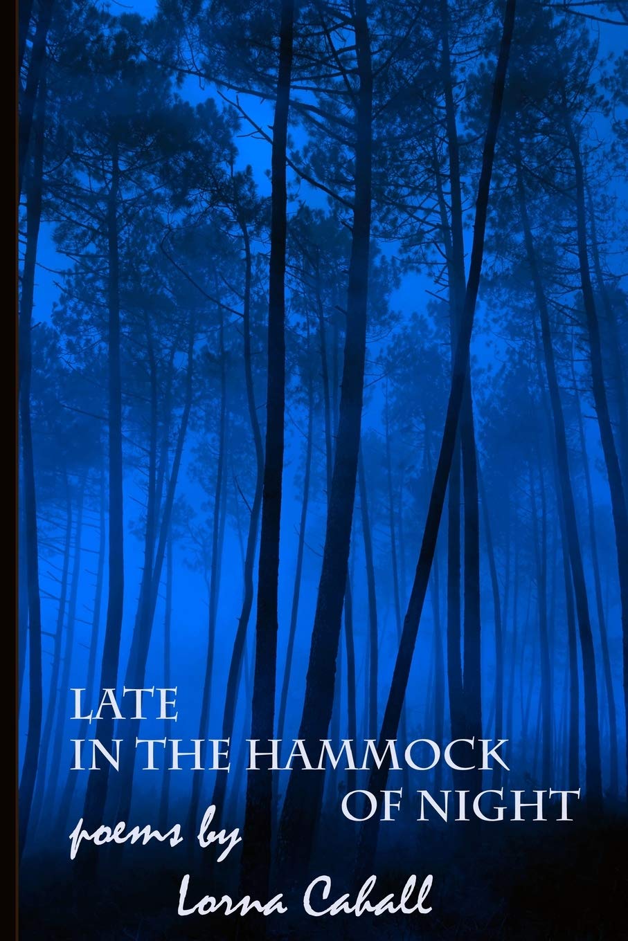 Late In The Hammock Of Night,Used