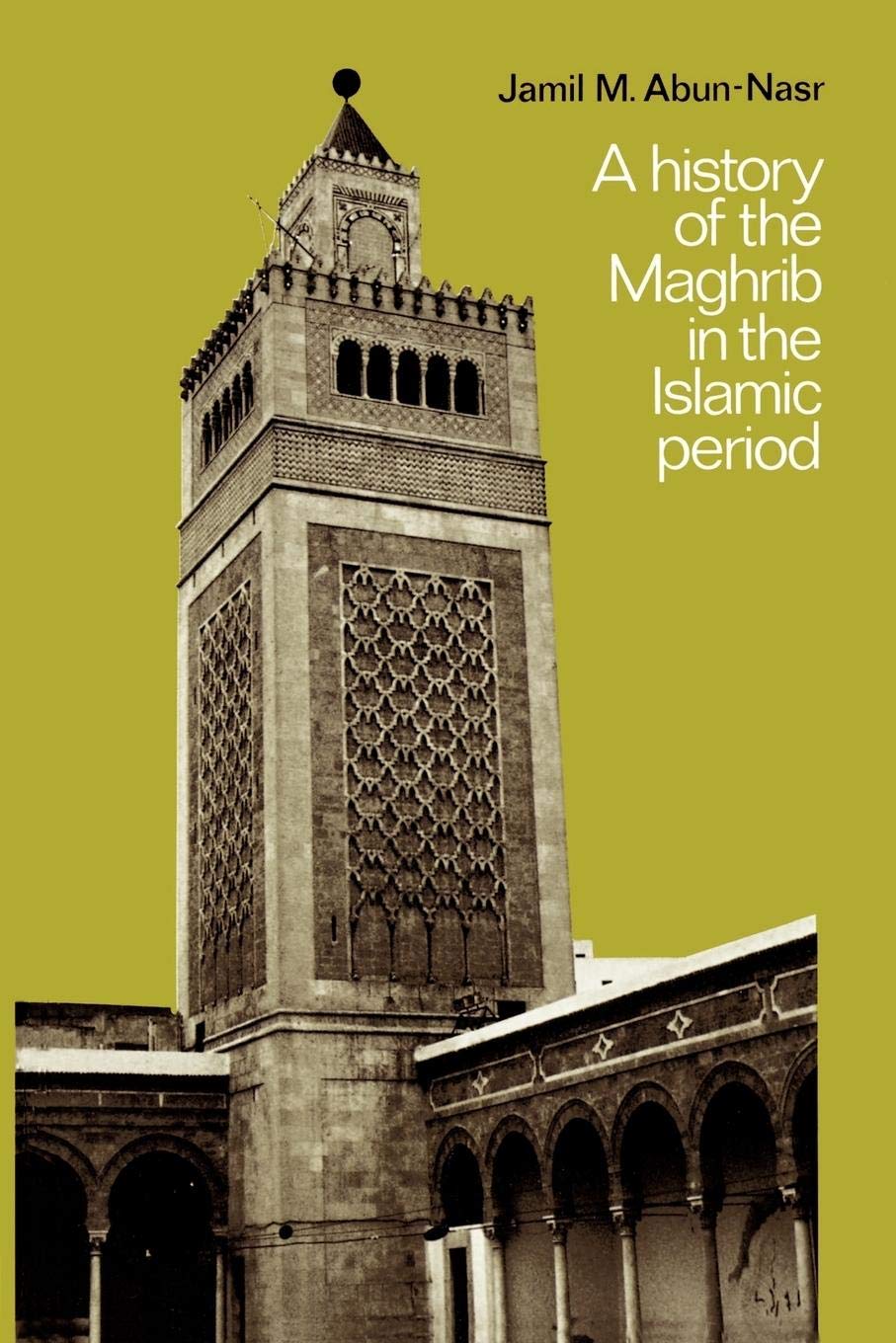 A History of the Maghrib in the Islamic Period,Used