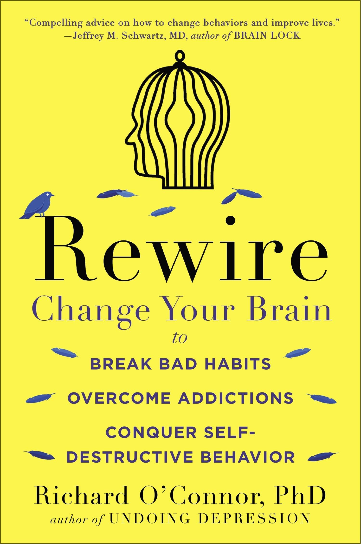 Rewire: Change Your Brain To Break Bad Habits, Overcome Addictions, Conquer Selfdestructive Behavior-used