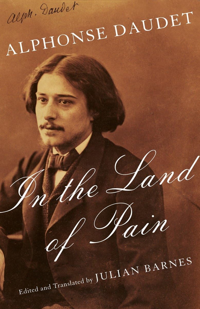In the Land of Pain (Vintage Classics),Used
