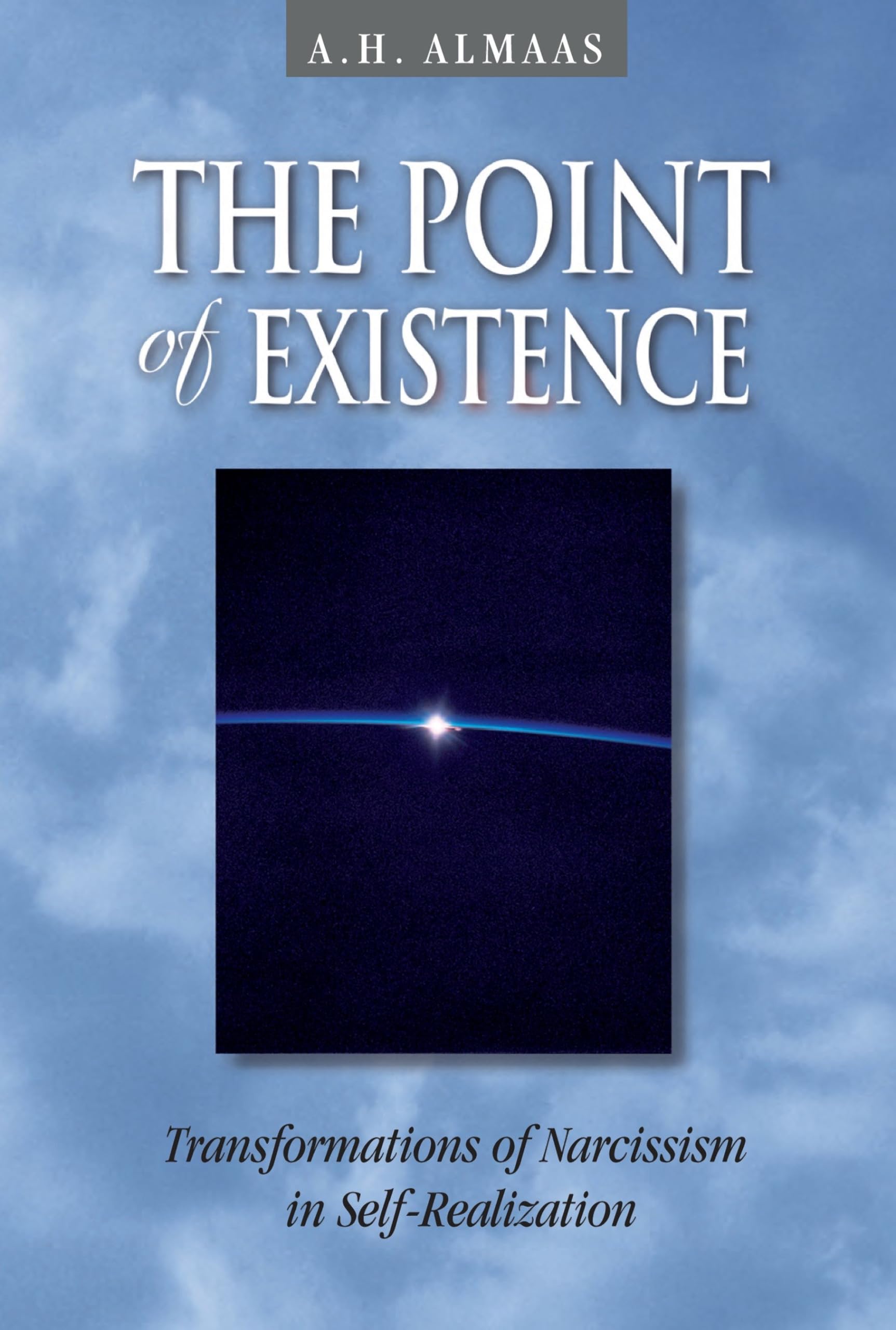 The Point of Existence: Transformations of Narcissism in SelfRealization (Diamond Mind Series, 3),Used