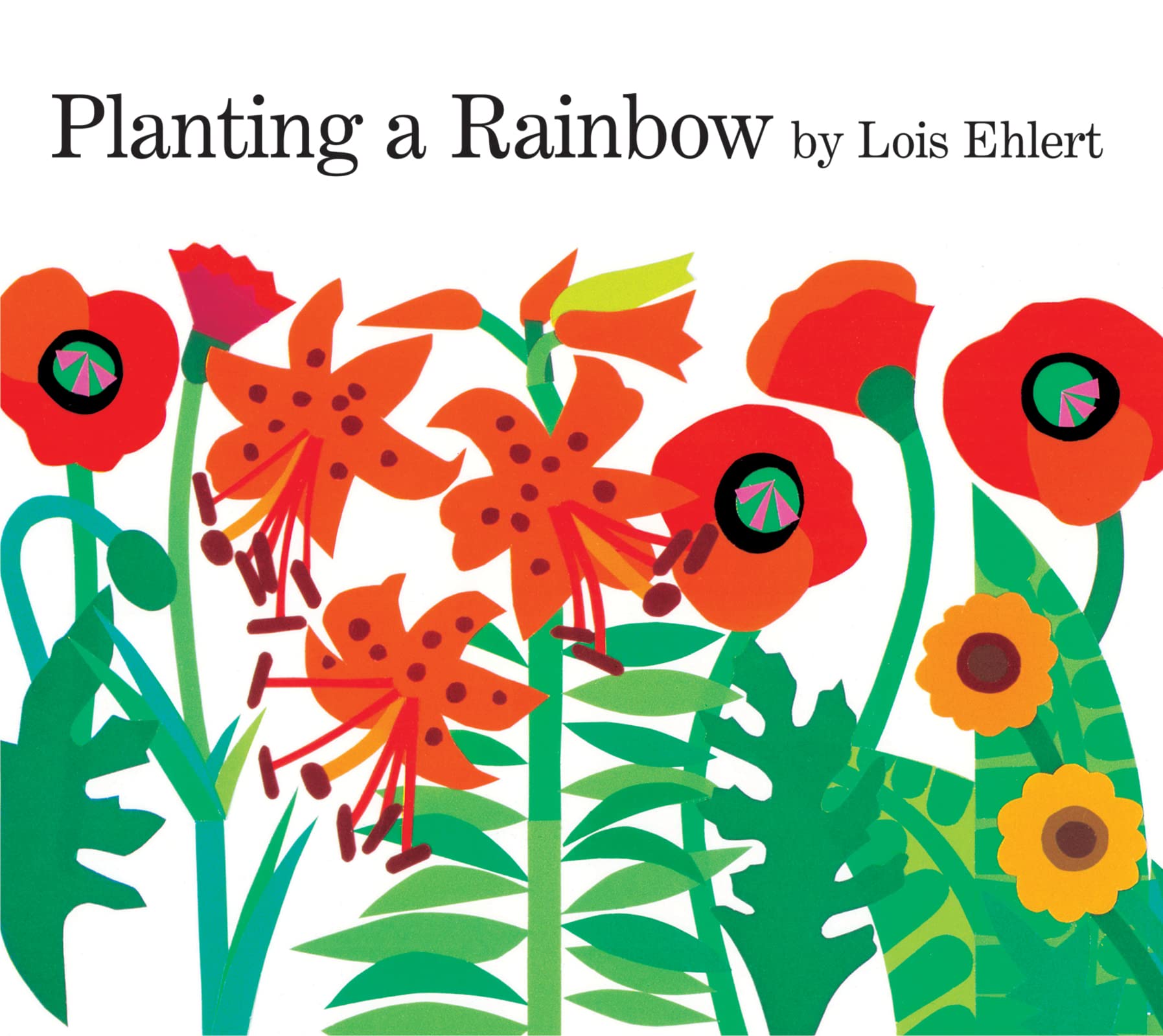 Planting A Rainbow Lap Board Book,Used