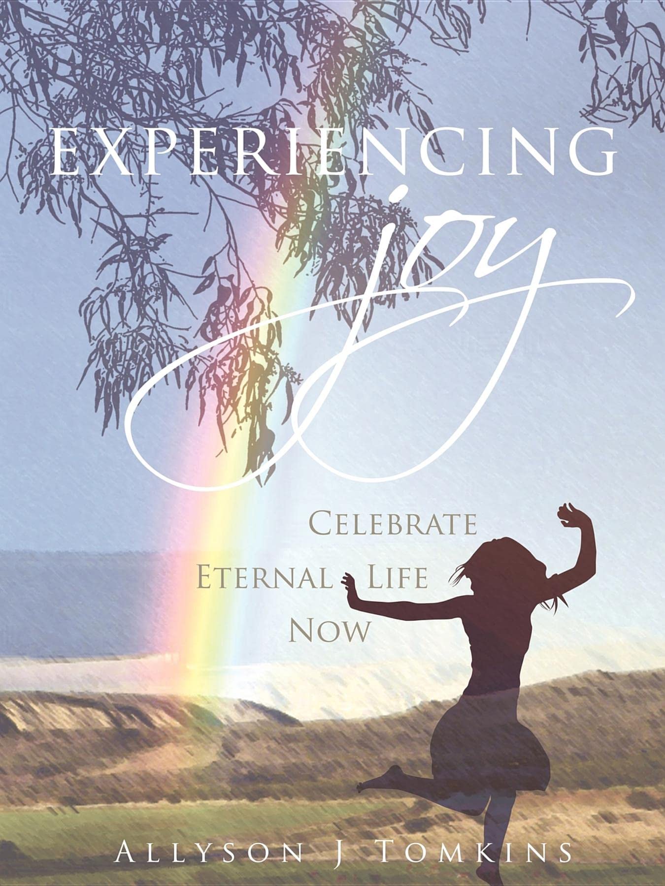 Experiencing Joy,Used