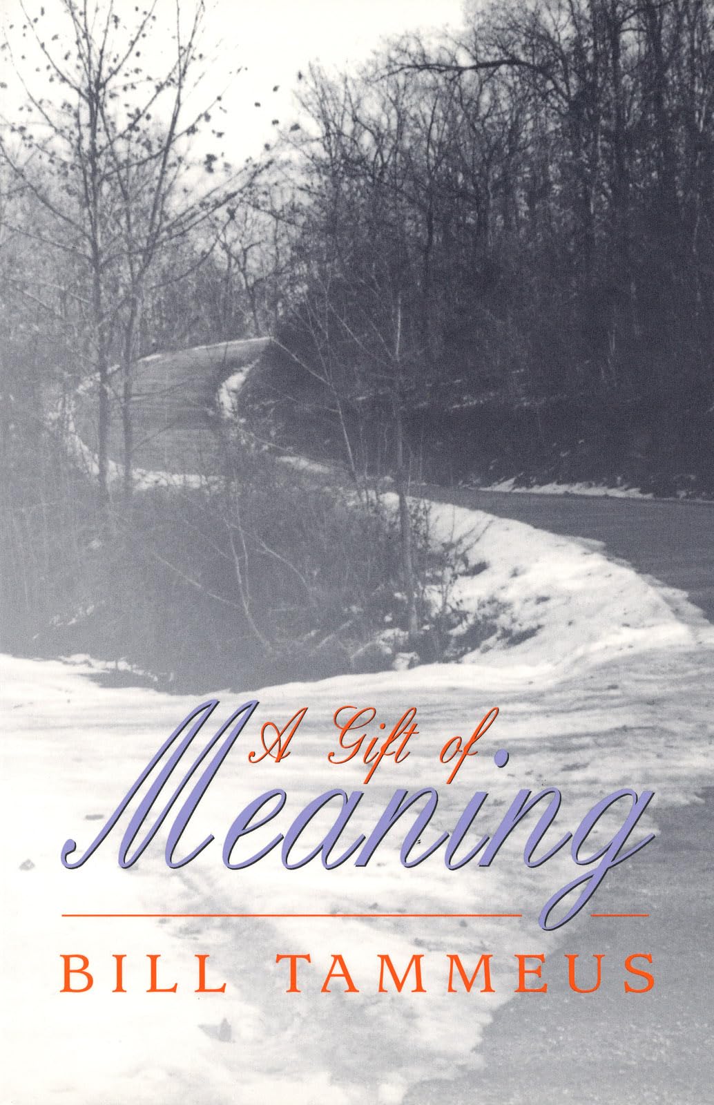 A Gift of Meaning (Volume 1),Used