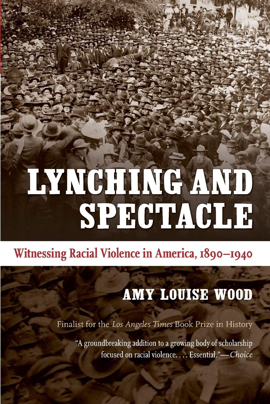 Lynching And Spectacle: Witnessing Racial Violence In America, 18901940 (New Directions In Southern Studies),New