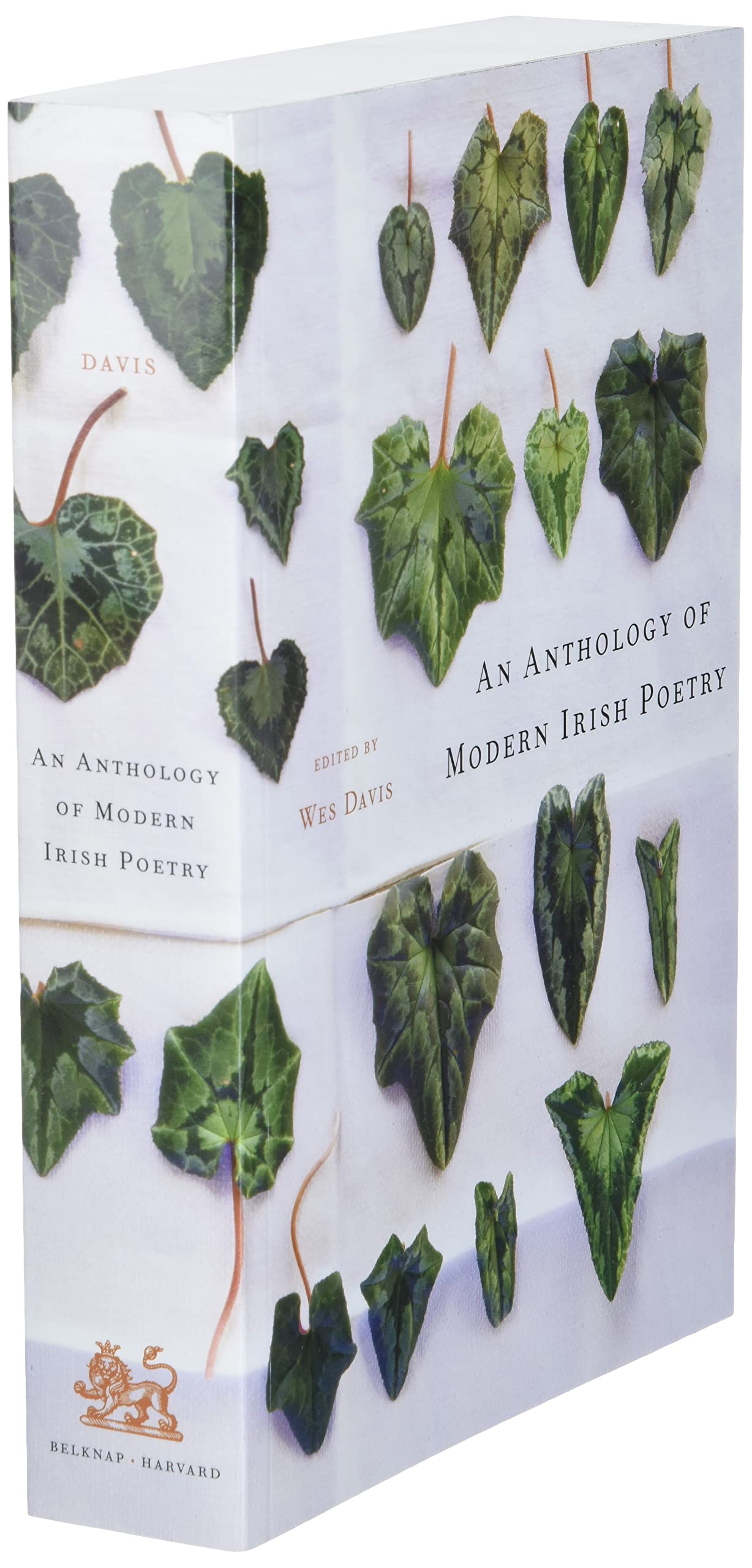 An Anthology of Modern Irish Poetry,Used