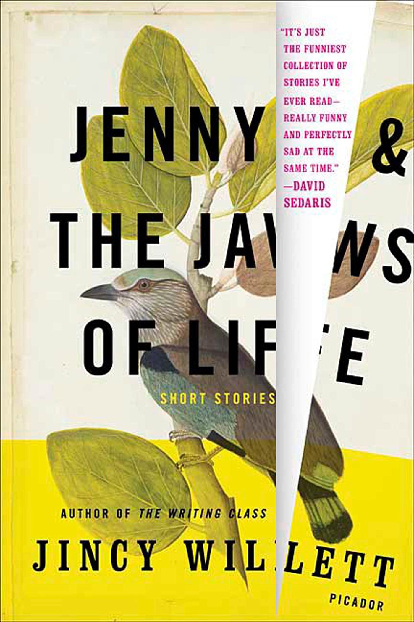 Jenny And The Jaws Of Life: Short Stories