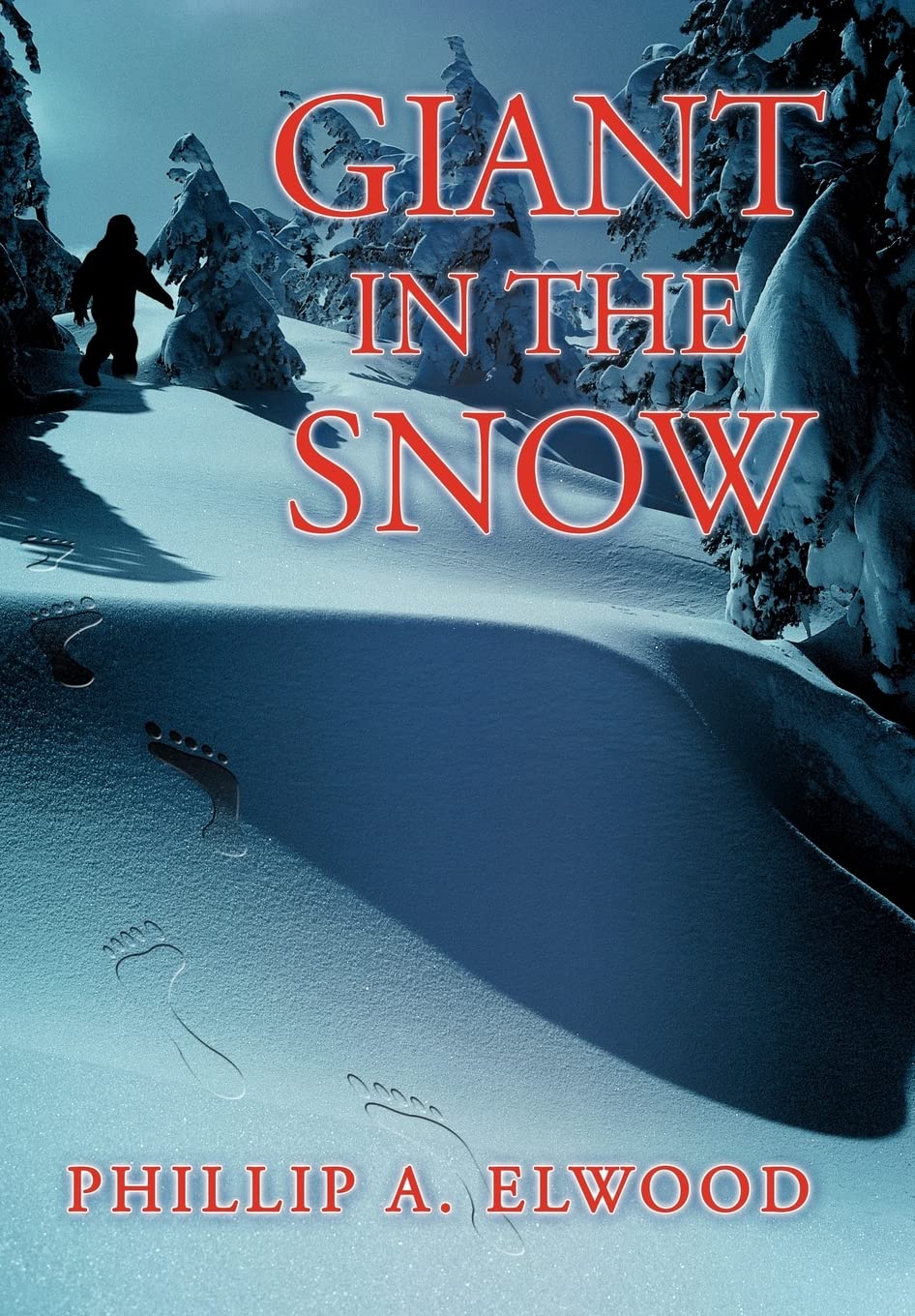 Giant In The Snow,Used