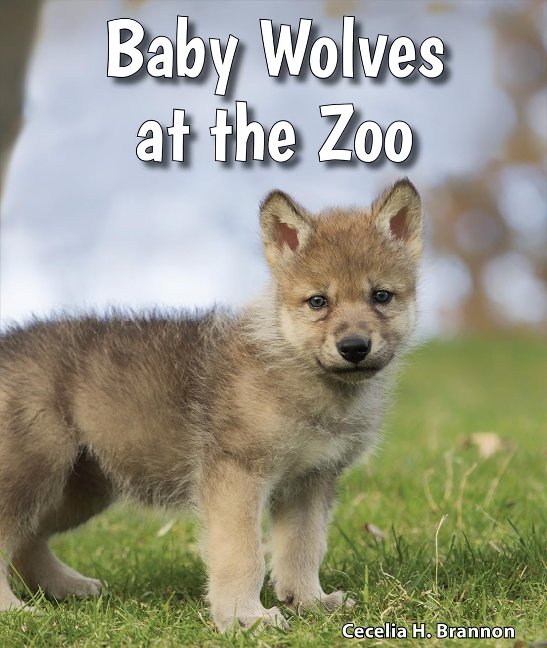 Baby Wolves at the Zoo (All About Baby Zoo Animals),Used