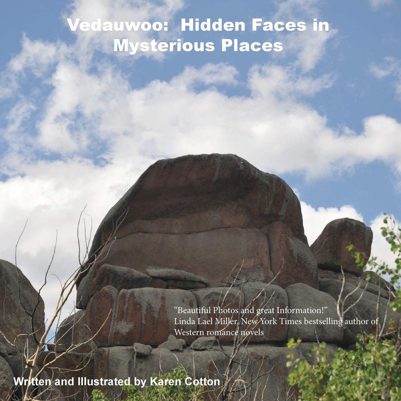Vedauwoo: Hidden Faces In Mysterious Places,Used