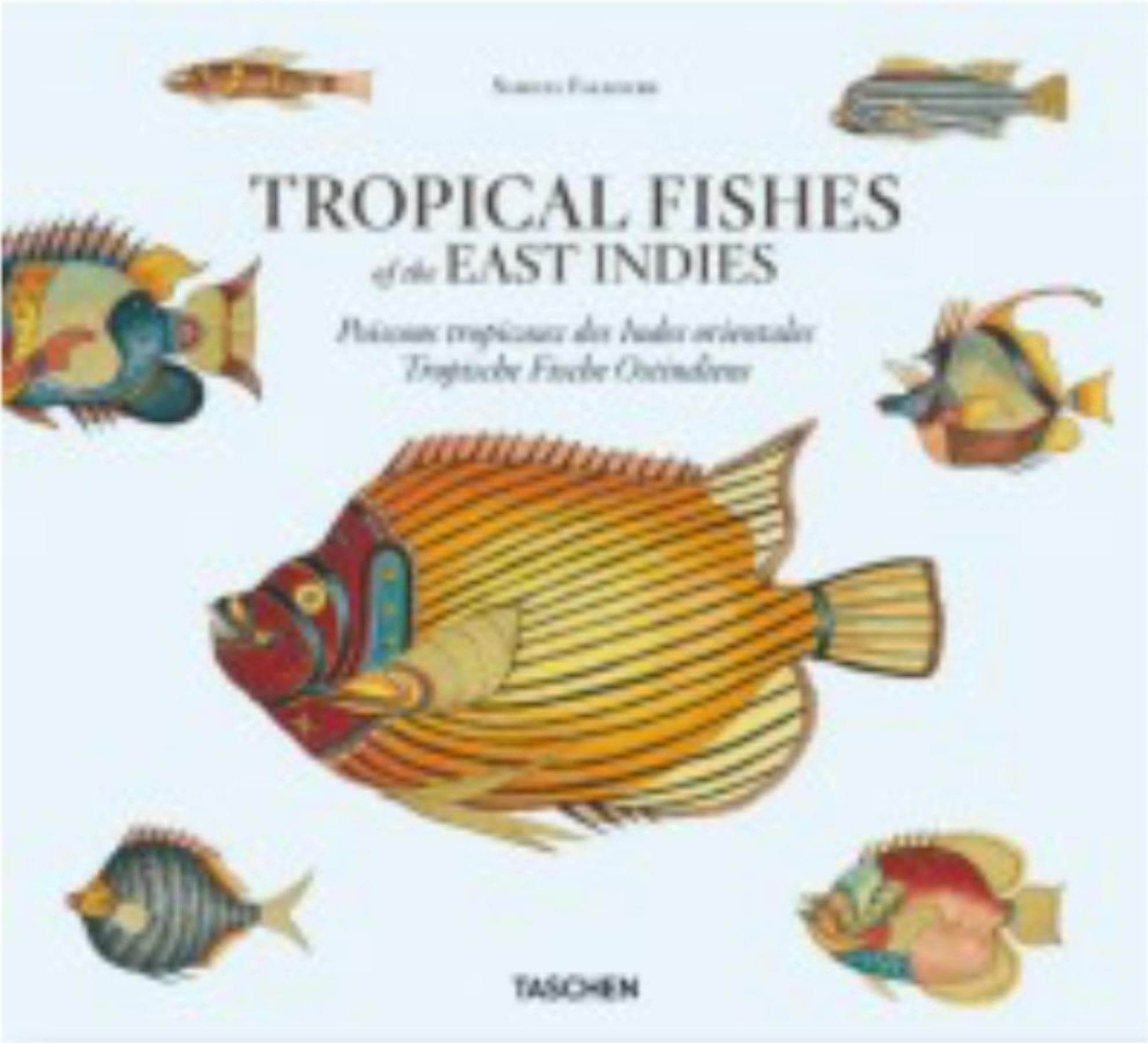 Samuel Fallours: Tropical Fishes of the East Indies,New