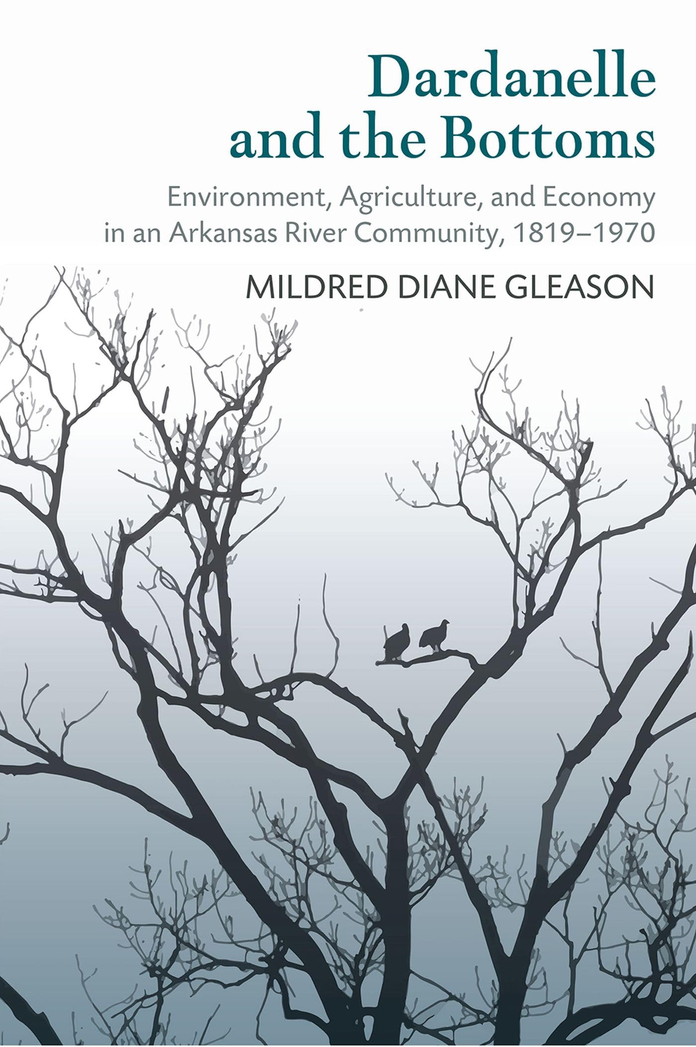 Dardanelle and the Bottoms: Environment, Agriculture, and Economy in an Arkansas River Community, 18191970,Used