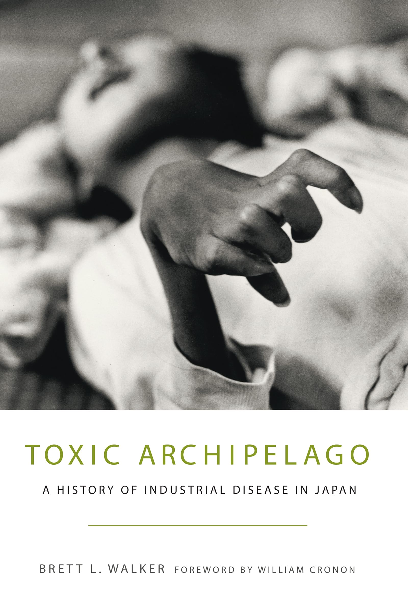 Toxic Archipelago: A History Of Industrial Disease In Japan (Weyerhaeuser Environmental Books),Used