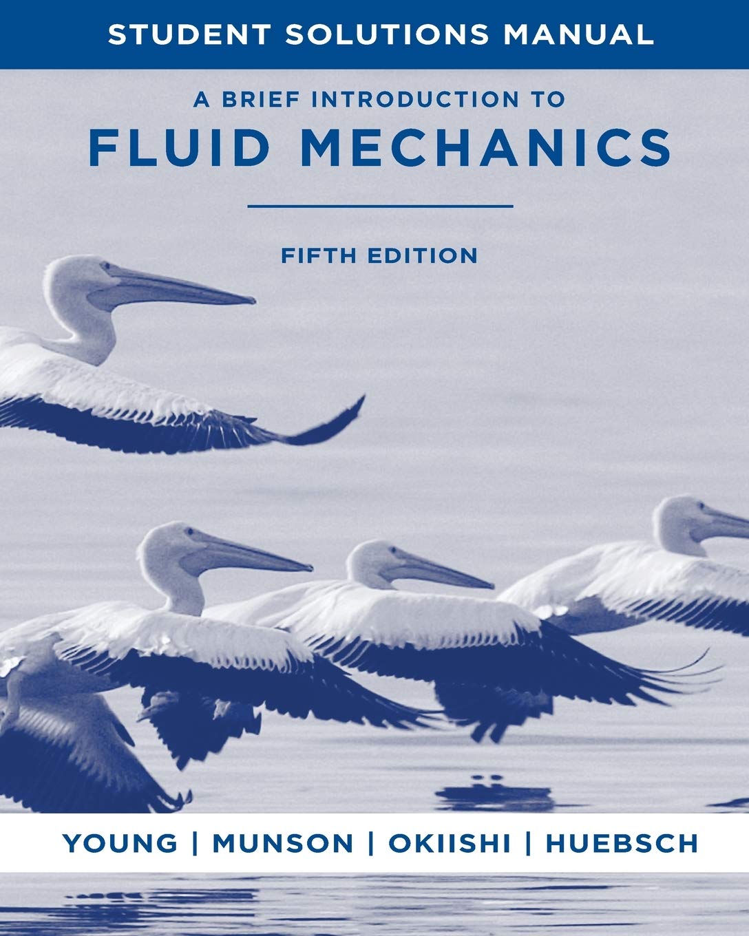 A Brief Introduction to Fluid Mechanics, 5e Student Solutions Manual,New